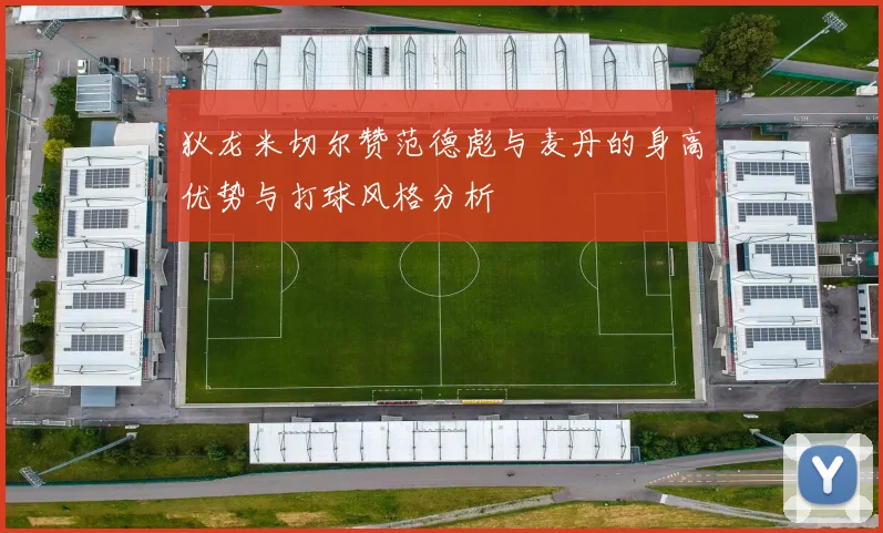 狄龙米切尔赞范德彪与麦丹的身高优势与打球风格分析
