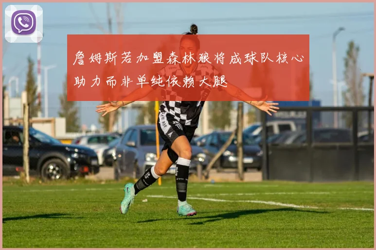 詹姆斯若加盟森林狼将成球队核心助力而非单纯依赖大腿