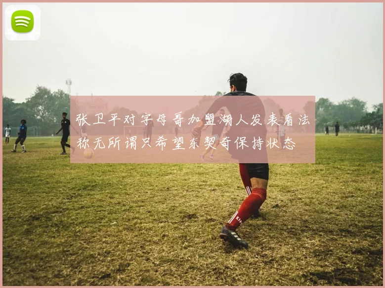 张卫平对字母哥加盟湖人发表看法称无所谓只希望东契奇保持状态